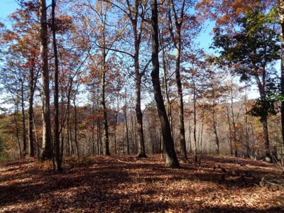 5.82 Acres for sale with Lakeview in Roane County, TN - image 3