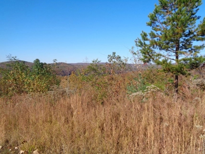 5.82 Acres for sale with Lakeview in Roane County, TN - image 14