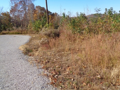 5.82 Acres for sale with Lakeview in Roane County, TN - image 20