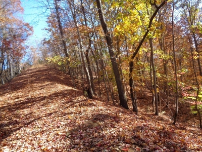5.82 Acres for sale with Lakeview in Roane County, TN - image 7