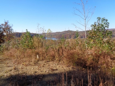 5.82 Acres for sale with Lakeview in Roane County, TN - image 10