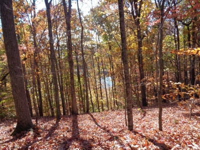5.82 Acres for sale with Lakeview in Roane County, TN - image 4