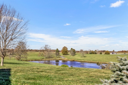 Luxury Ranch for Sale in Morgan County, Tennessee - image 6