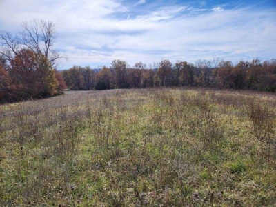 Monroe County, Iowa Hunting & Recreational Land For Sale - image 10
