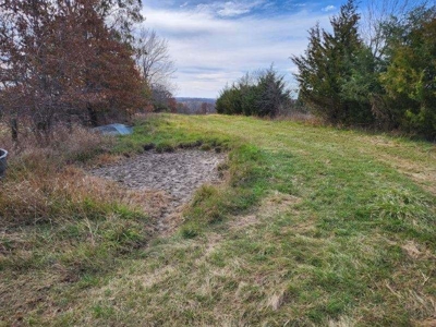 Monroe County, Iowa Hunting & Recreational Land For Sale - image 9