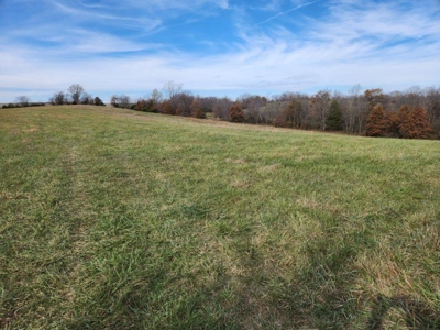 Monroe County, Iowa Hunting & Recreational Land For Sale - image 7