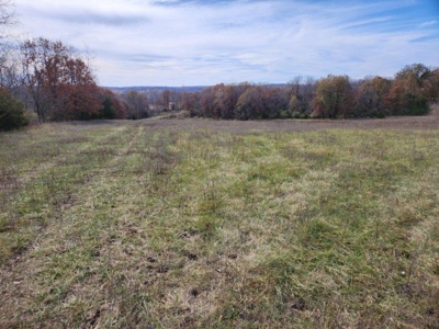 Monroe County, Iowa Hunting & Recreational Land For Sale - image 5