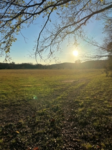 For Sale: 29.2 Acres in Logan-Rogersville School District - image 2