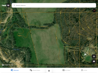 For Sale: 29.2 Acres in Logan-Rogersville School District - image 5