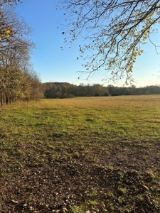 For Sale: 29.2 Acres in Logan-Rogersville School District - image 3