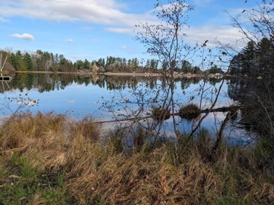 Riverfront Lot for Sale Atlanta MI - image 17