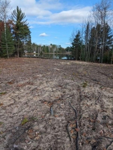 Riverfront Lot for Sale Atlanta MI - image 6