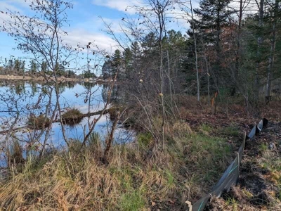Riverfront Lot for Sale Atlanta MI - image 12