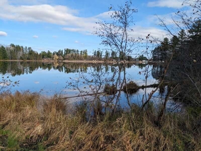 Riverfront Lot for Sale Atlanta MI - image 11