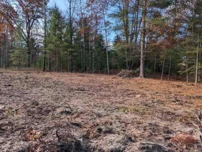 Riverfront Lot for Sale Atlanta MI - image 16
