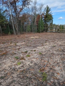 Riverfront Lot for Sale Atlanta MI - image 4