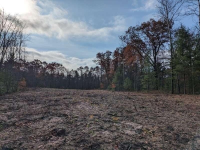 Riverfront Lot for Sale Atlanta MI - image 15