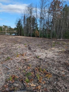 Riverfront Lot for Sale Atlanta MI - image 5