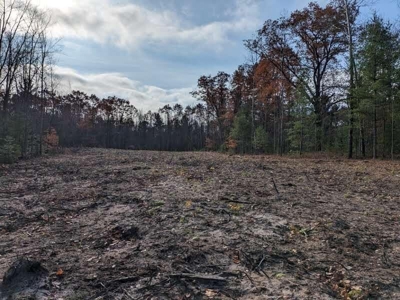 Riverfront Lot for Sale Atlanta MI - image 14