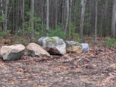 Riverfront Lot for Sale Atlanta MI - image 3