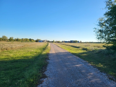 For Sale 40.22 Acres Wolfe City Hunt County - image 9