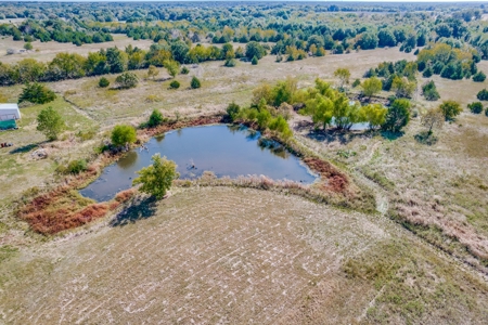 For Sale 40.22 Acres Wolfe City Hunt County - image 15