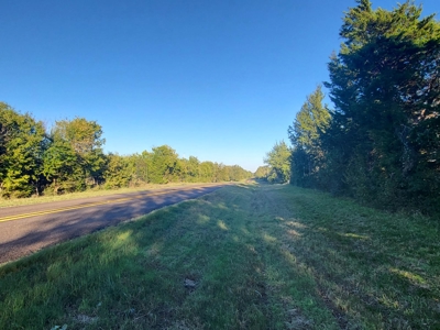 For Sale 40.22 Acres Wolfe City Hunt County - image 12