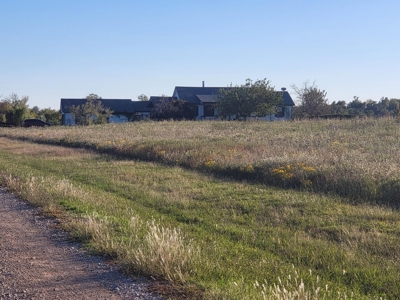 For Sale 40.22 Acres Wolfe City Hunt County - image 3