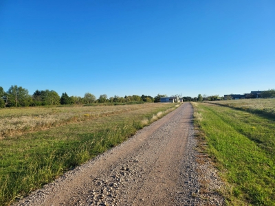 For Sale 40.22 Acres Wolfe City Hunt County - image 10