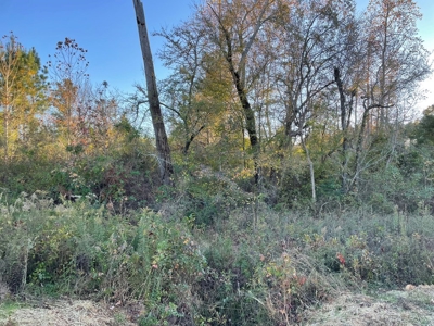 Southern Acreage In Virginia - image 4