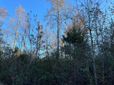 Southern Acreage In Virginia - image 7