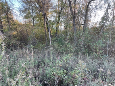 Southern Acreage In Virginia - image 5