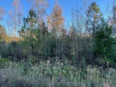 Southern Acreage In Virginia - image 2