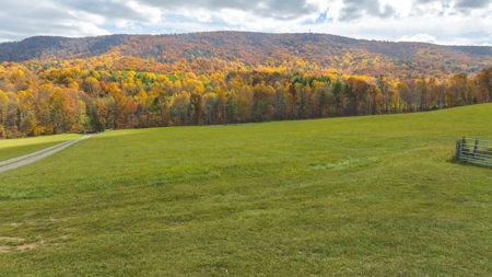 Offering #1 Farmland for Sale at Auction in Floyd VA - image 4