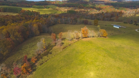 Offering #1 Farmland for Sale at Auction in Floyd VA - image 9