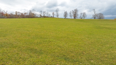 Offering #1 Farmland for Sale at Auction in Floyd VA - image 27