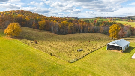 Offering #1 Farmland for Sale at Auction in Floyd VA - image 2