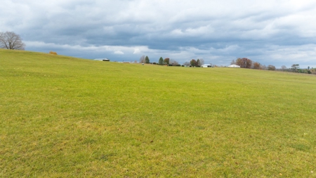 Offering #1 Farmland for Sale at Auction in Floyd VA - image 28