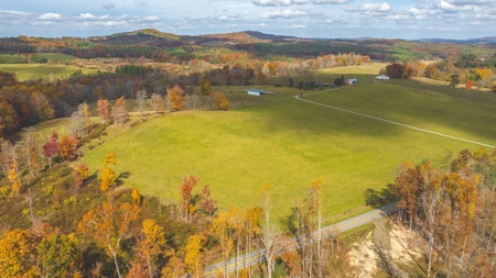 Offering #1 Farmland for Sale at Auction in Floyd VA - image 8