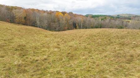 Offering #1 Farmland for Sale at Auction in Floyd VA - image 18