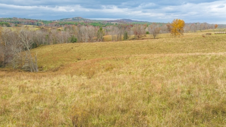 Offering #1 Farmland for Sale at Auction in Floyd VA - image 22