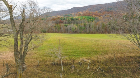 Offering #1 Farmland for Sale at Auction in Floyd VA - image 20