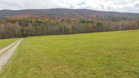 Offering #1 Farmland for Sale at Auction in Floyd VA - image 14