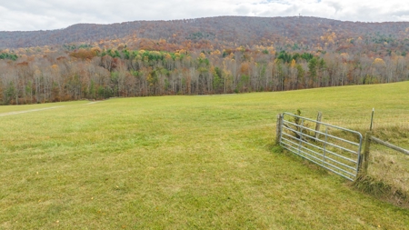 Offering #1 Farmland for Sale at Auction in Floyd VA - image 17