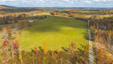 Offering #1 Farmland for Sale at Auction in Floyd VA - image 7