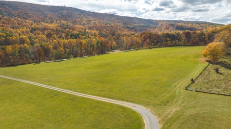 Offering #1 Farmland for Sale at Auction in Floyd VA - image 1