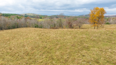 Offering #1 Farmland for Sale at Auction in Floyd VA - image 19