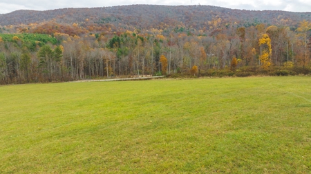 Offering #1 Farmland for Sale at Auction in Floyd VA - image 24