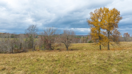 Offering #1 Farmland for Sale at Auction in Floyd VA - image 29