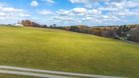 Offering #2 Country Home with Acreage for Sale in Floyd VA - image 5